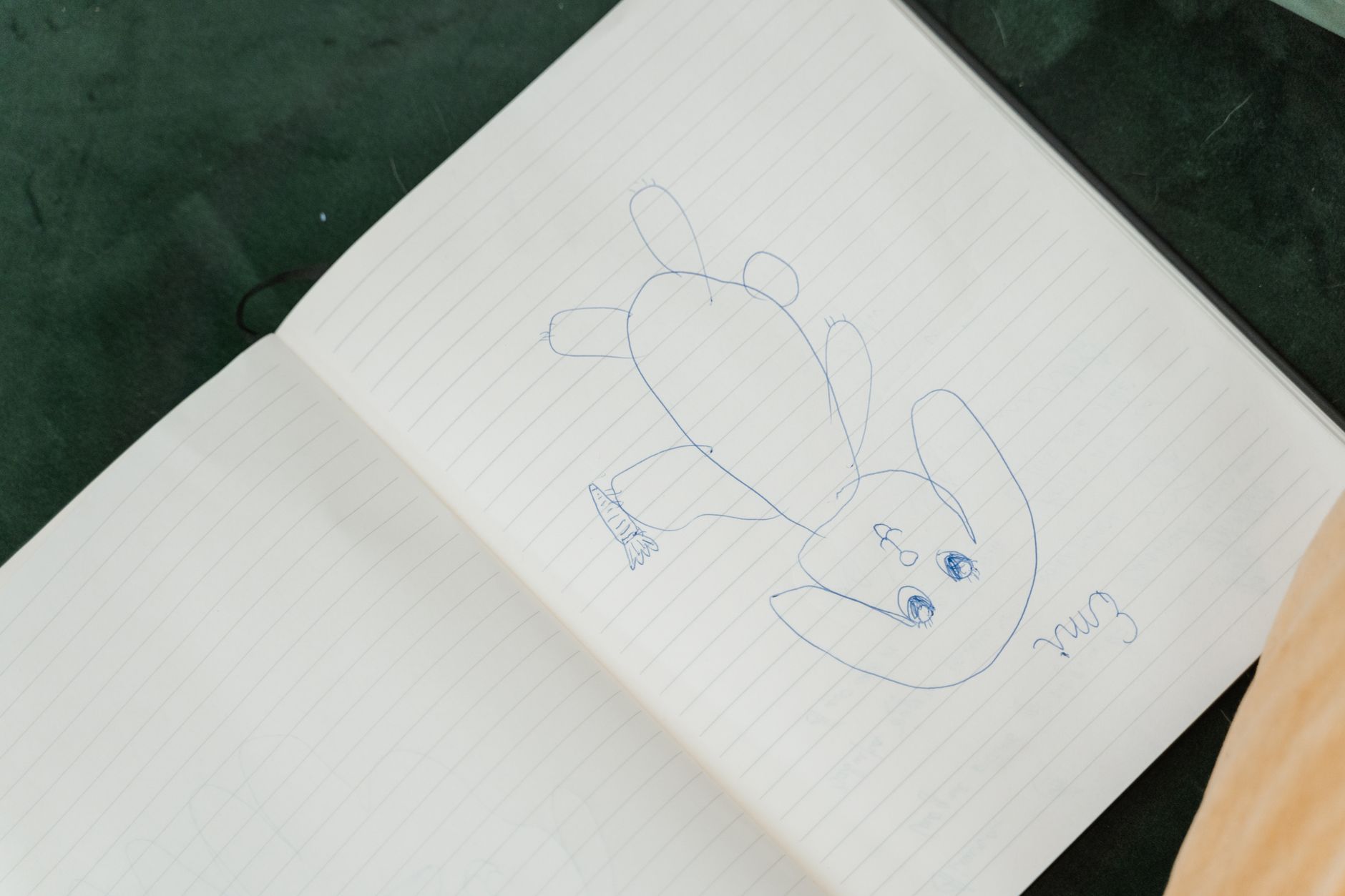 protège carnet bébé