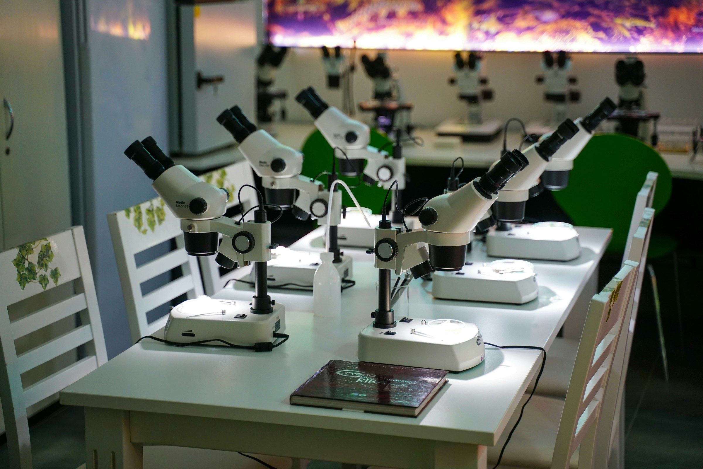 Microscope optique avec éclairage LED posé sur une paillasse